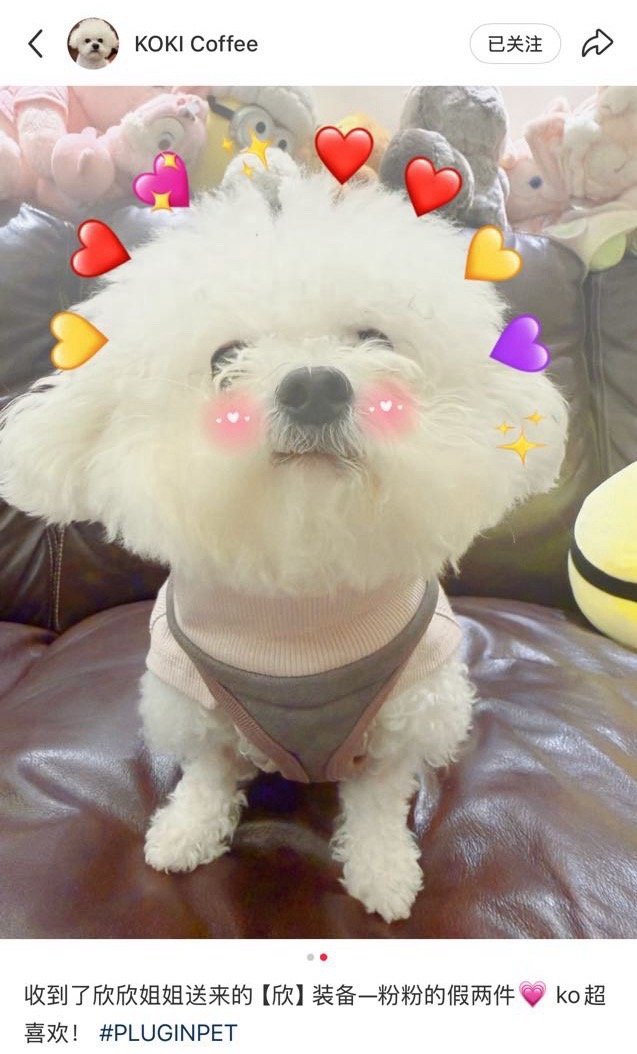 哎呦虞书欣给koki宝宝送了漂亮衣服