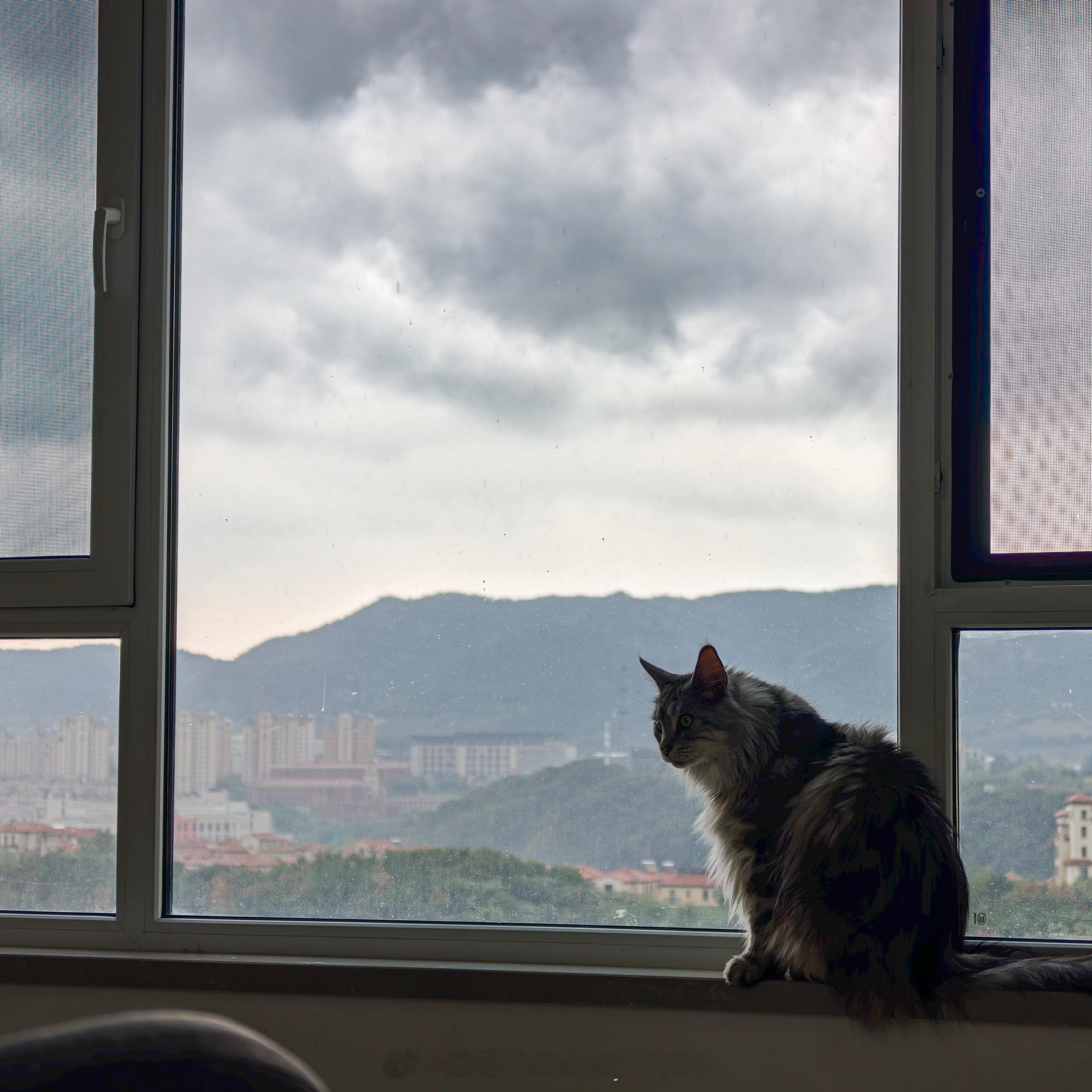 [下雨] ​​​