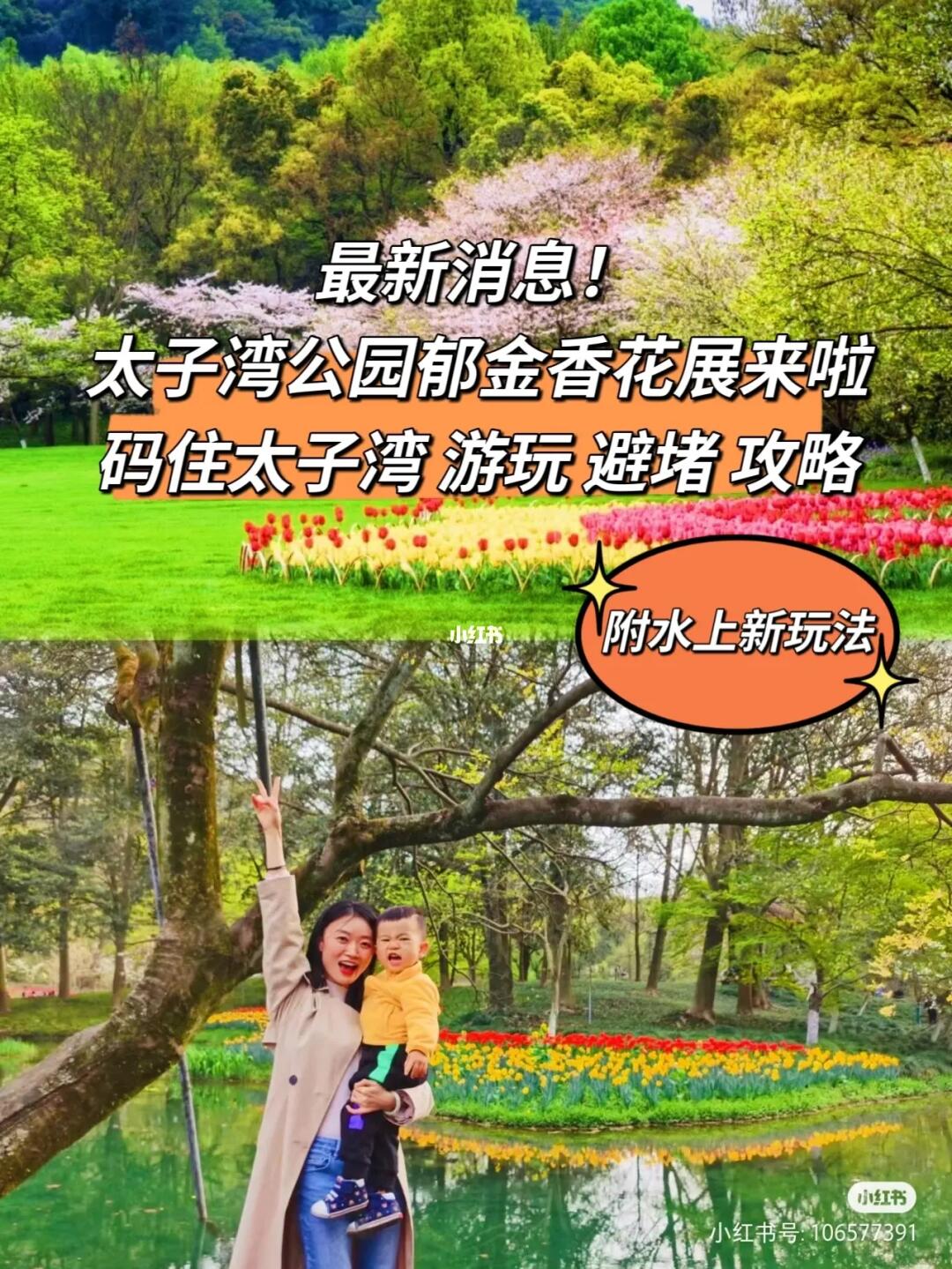 今天开始预约/太子湾公园郁金香花展强势来袭