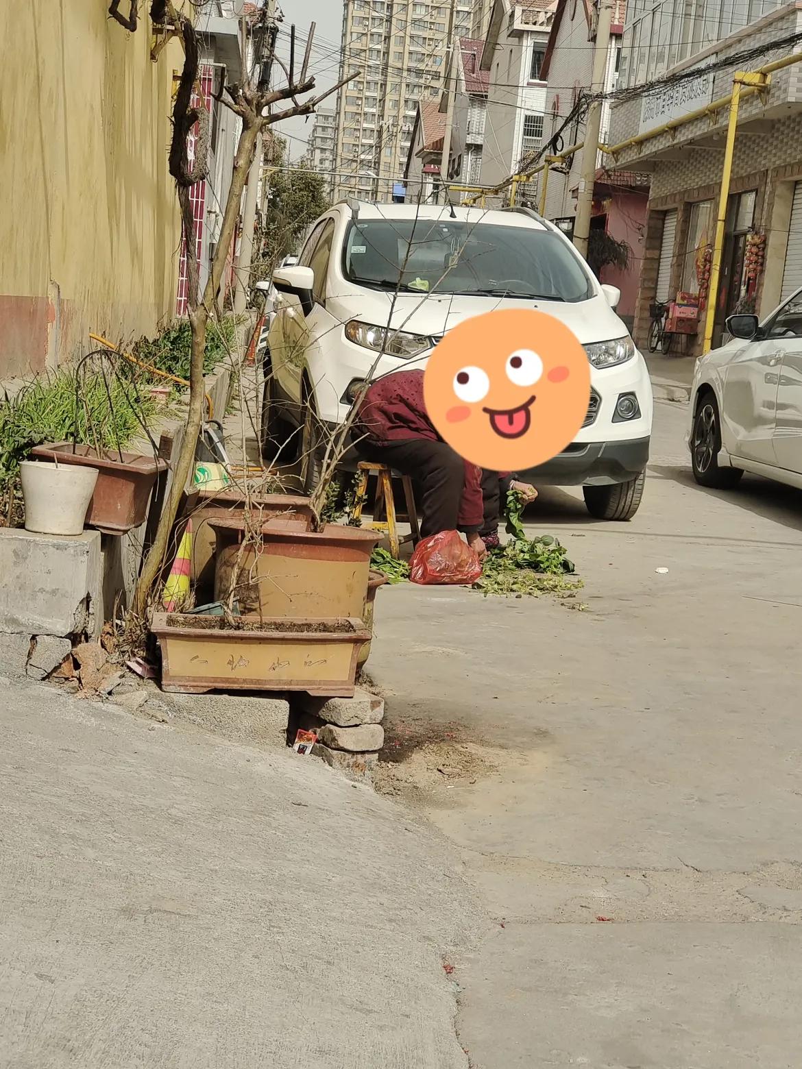 什么时候股市开市呀？我等的花儿都谢了，天天除了吃就是睡，除了睡就是玩！

要不然
