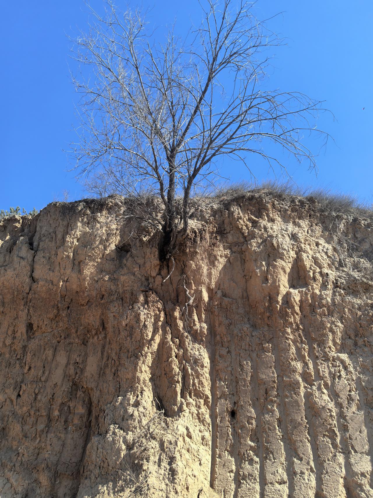 拥有积极的心态的人，总是充满正能量，温暖自己的同时，也照亮了别人的人生！这句话很