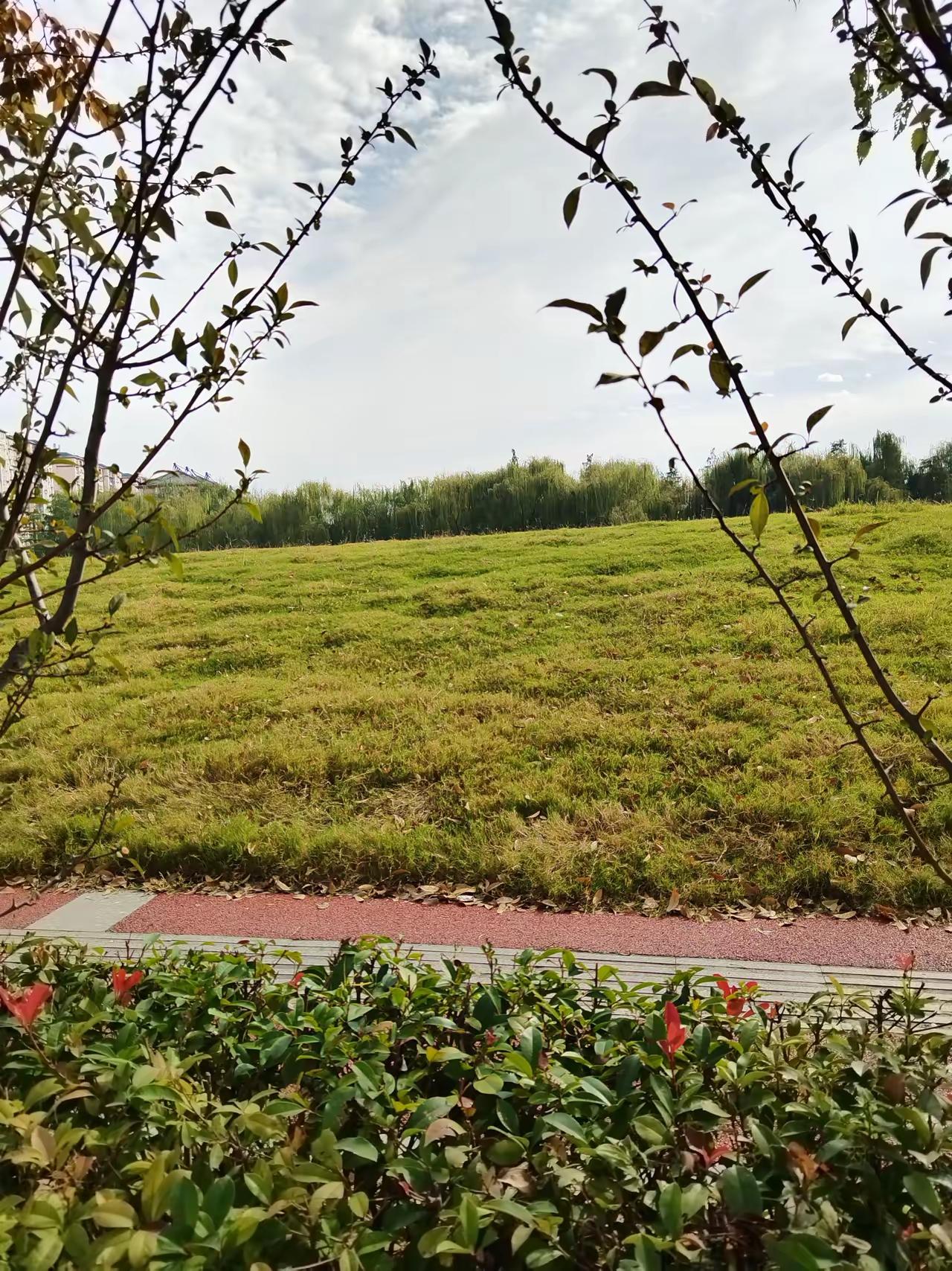 取消所有关注后，我找回了指尖的自由
 
今天做了个不知是大胆还是冲动的决定——指