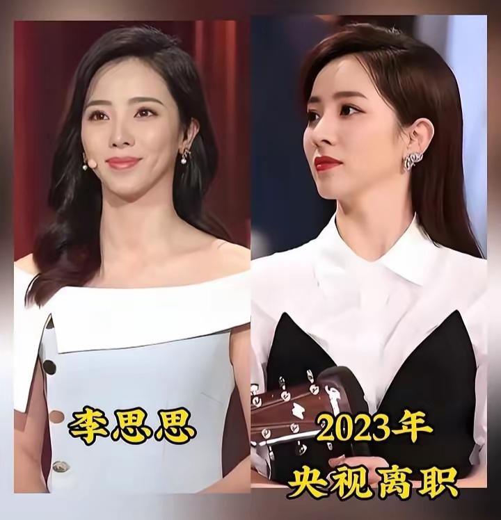 李思思，王小丫，杨澜，三位央视女名嘴，如今已离开央视各谋发展