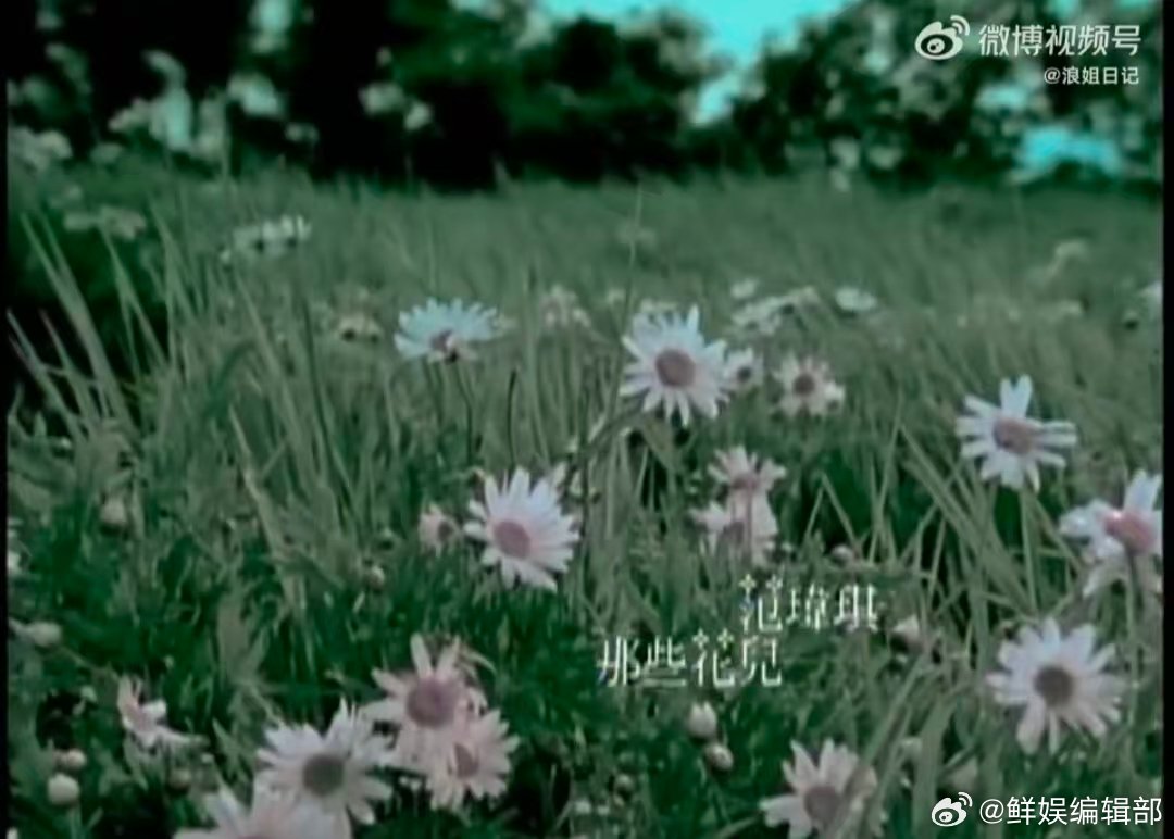浪姐大合唱换歌了改成那些花儿乘风2026大合唱换歌了！《那些花儿》合唱场面一定温
