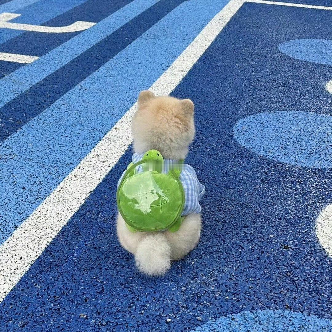 本周后好运气都归你！ 
