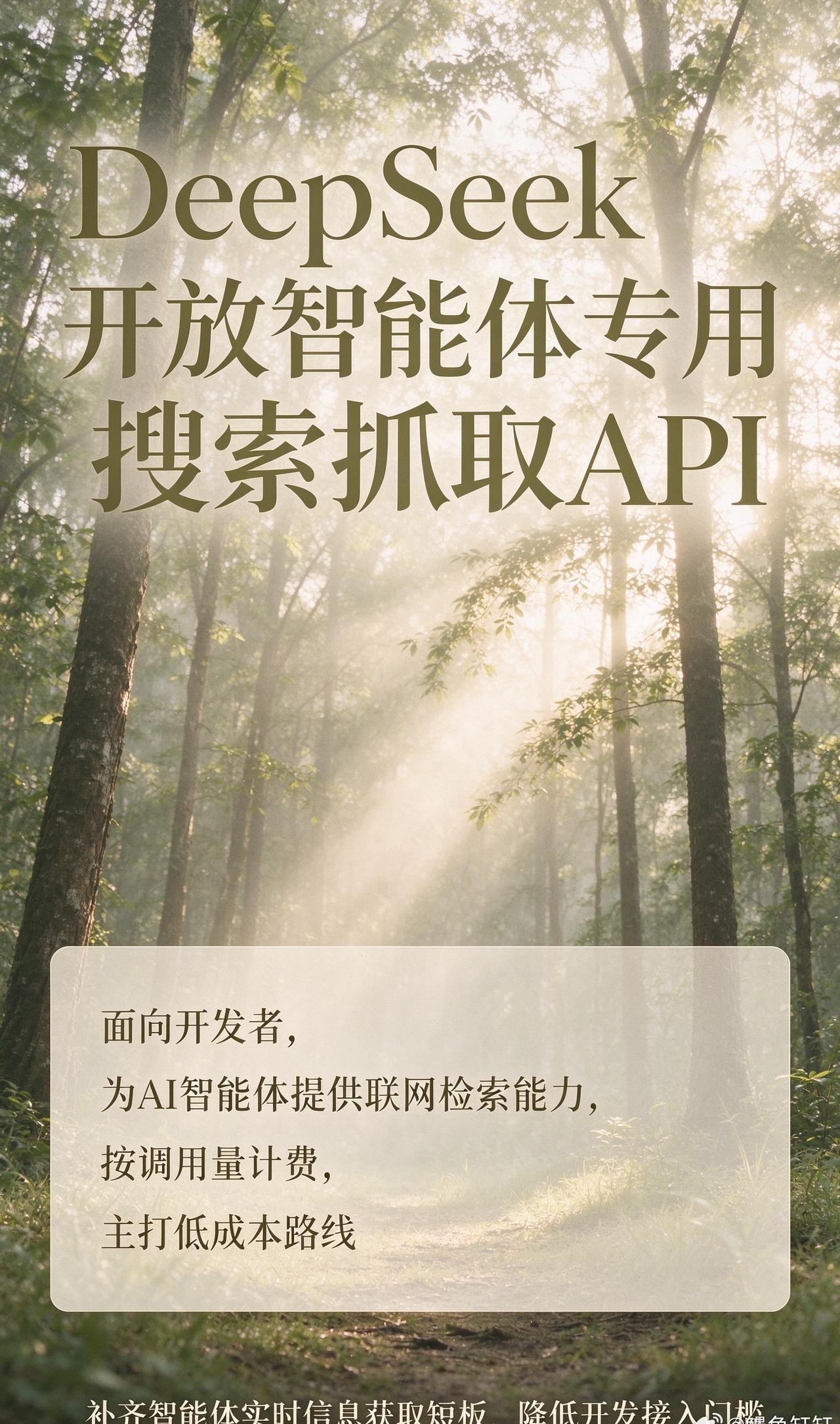 DeepSeek 开放了智能体专用的搜索抓取 API，面向开发者，主打给 AI 