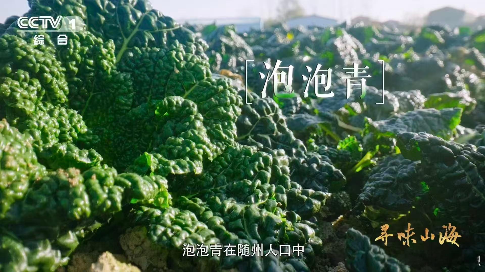 会吹泡泡的蔬菜湖北有种0摄氏度严选青菜 天生“皱叶黑油白菜”，偏爱0℃的考验。叶