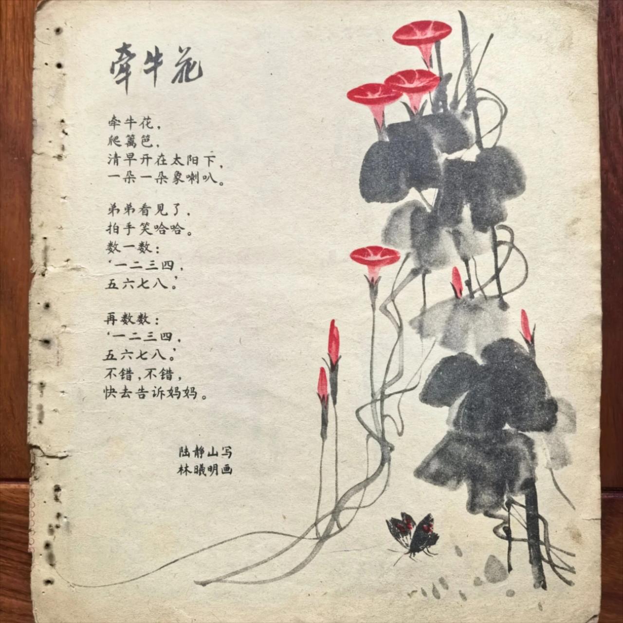 一九五七年（牵牛花）