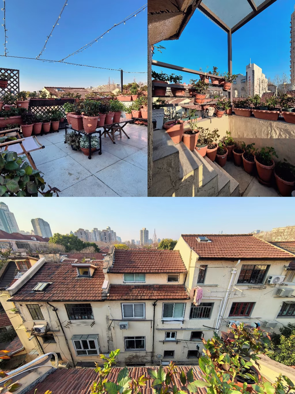 坐标梧桐区，屋顶是个好地方。