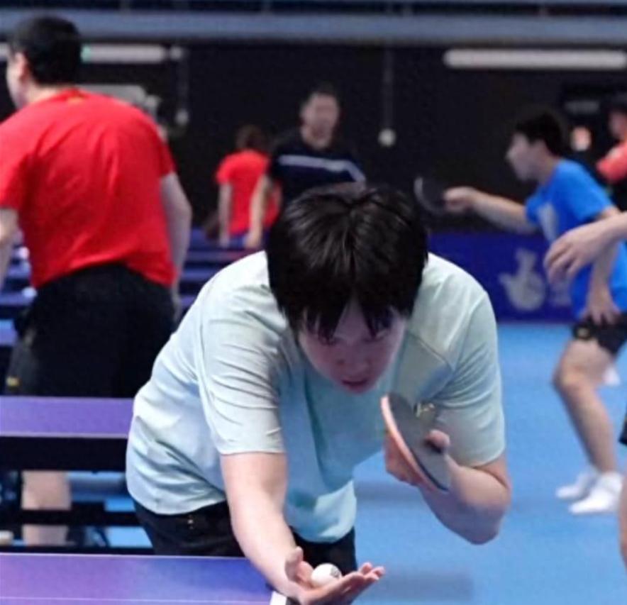 重磅乒乓资讯来袭！4 月 29 日央视频道转播时间表出炉，CCTV5 + 将倾情