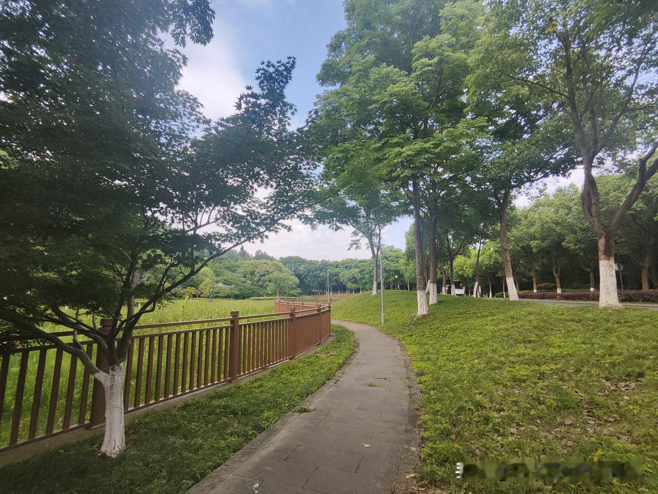 极目楚天舒
登仁皇山
高楼耸峙
绿色葱茏
城绿融合
人生只合住湖州
湖州仁皇山别