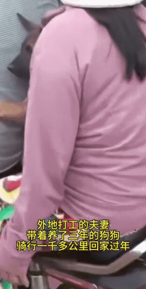 像个小孩子一样，不仅坐的标准，而且也很老实。估计知道，这是回家过年。
视频中，它