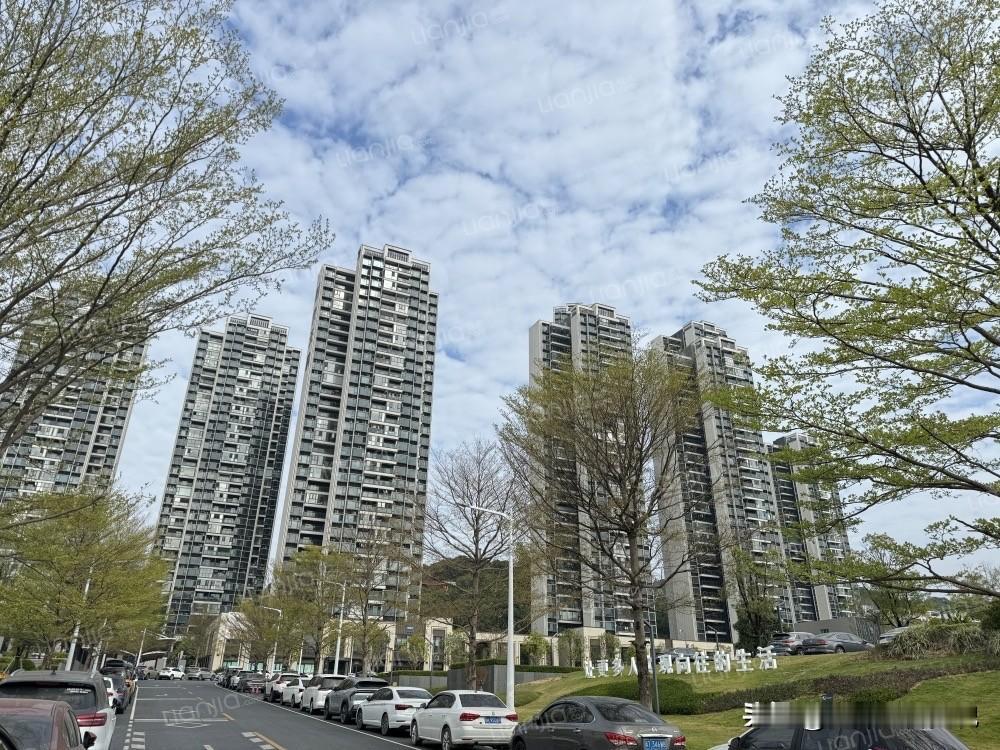 从3.7万到1.7万，科学城时代天韵，当年抢房的人亏掉了280万

2021年时