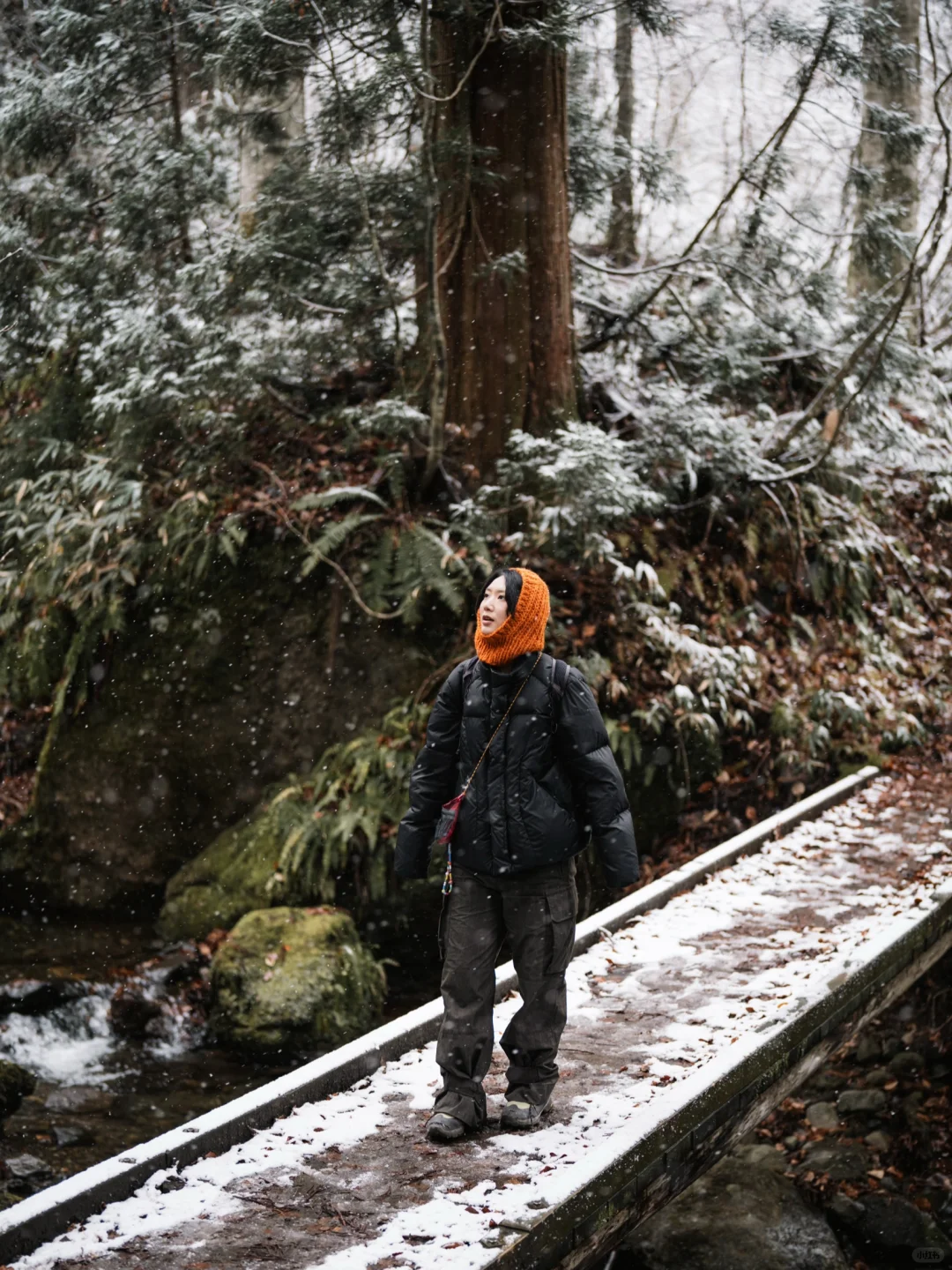徒步踏雪去❄️日本长野赏雪徒步推荐这啦