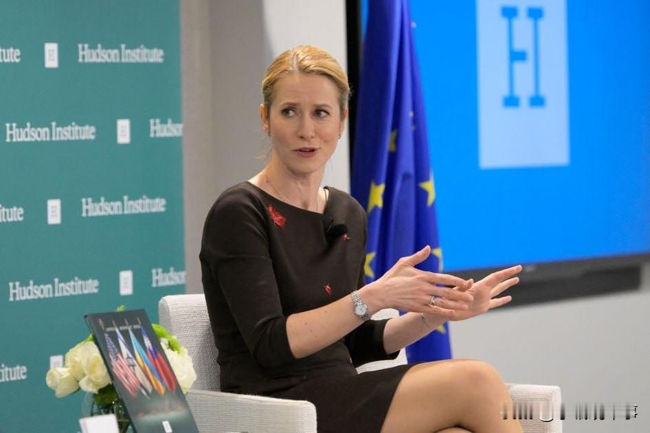 欧盟委员会副主席兼欧盟外交与安全政策高级代表卡娅·卡拉斯：

“如果我们想阻止这