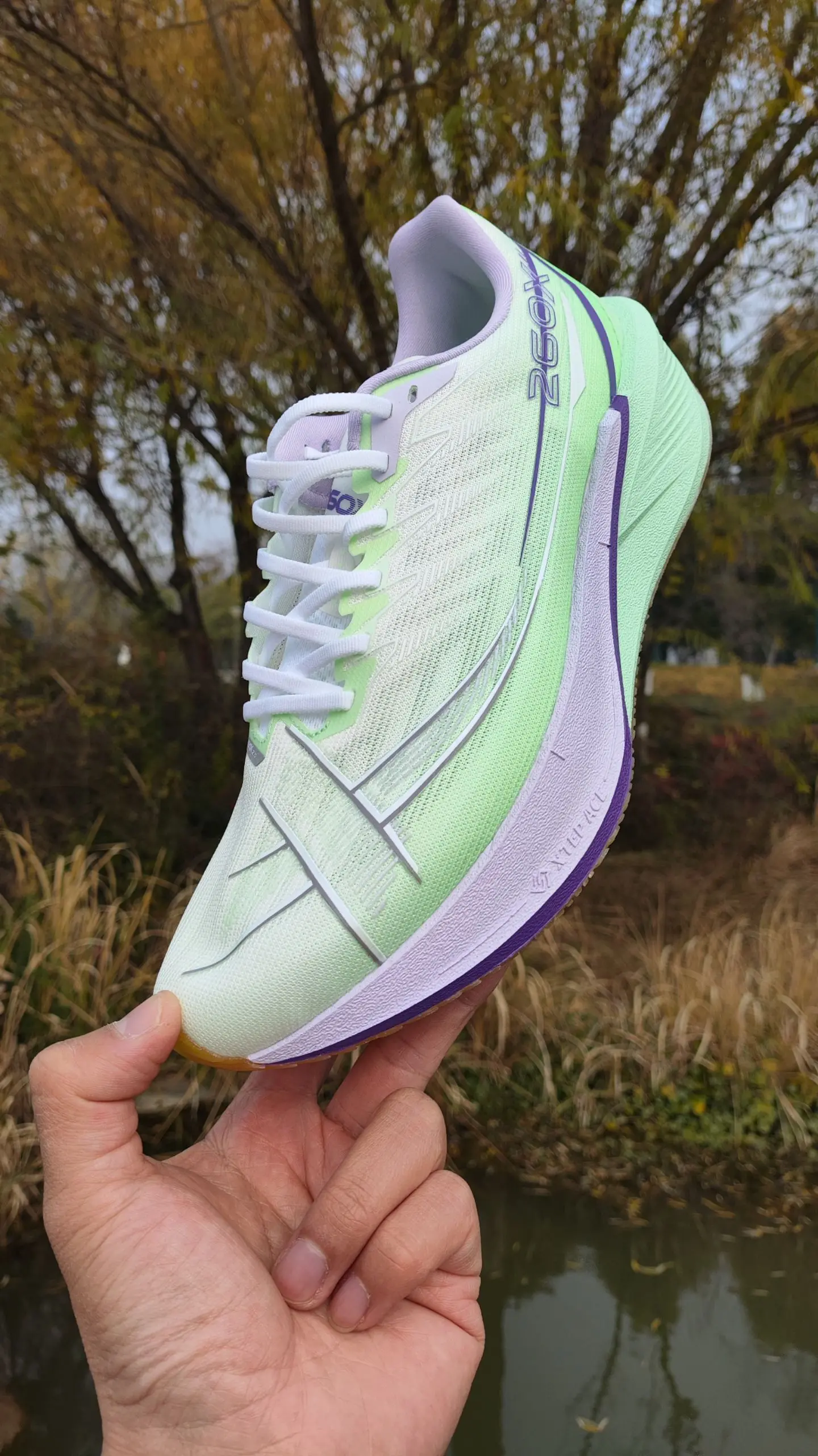 一句话点评一下下【260X 2.0】值得入吗？