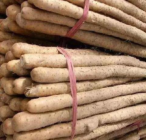 铁棍山药劲大
农村集市上，卖一种铁棍山药，据说是从焦作进来的。那是挨着太行山，农