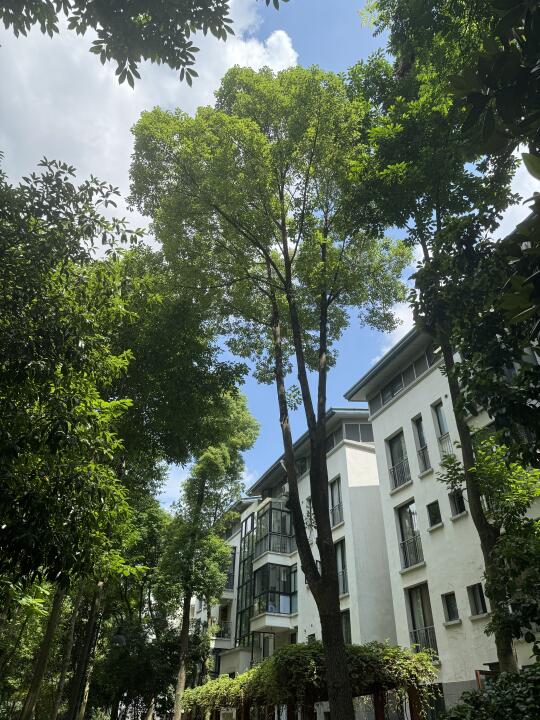 入住老小区五楼步梯房快一年，真实体验分享