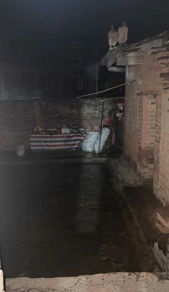 老爸昨天晚上说今天有雨真的是下雨了落水渣渣大半夜。