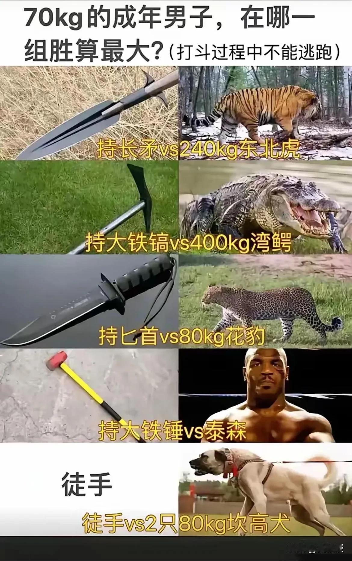 你会选择哪个？