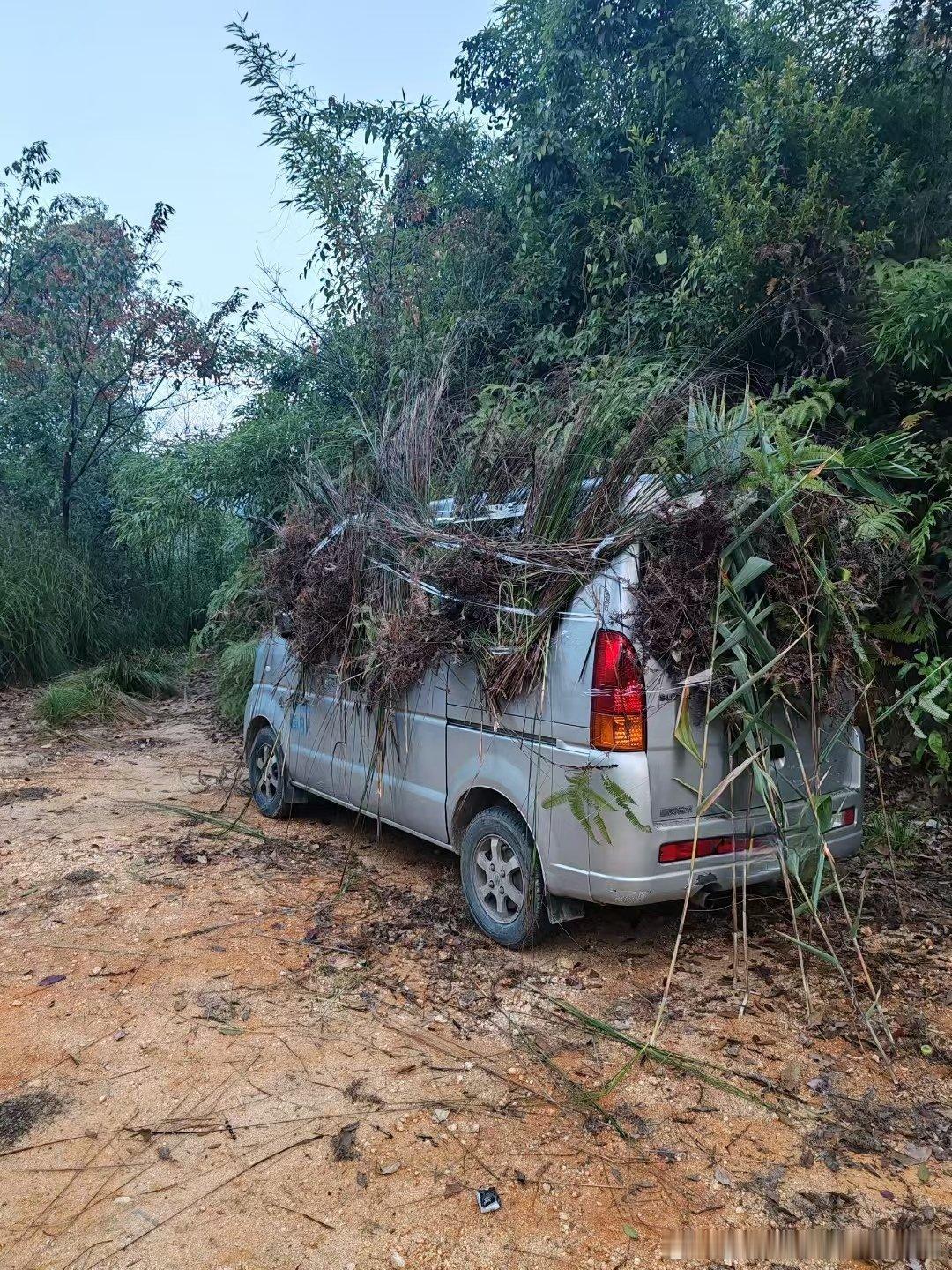烟台苹果莱阳梨🍐，赶不上潍坊萝卜皮 烟台·夹河湿地公园