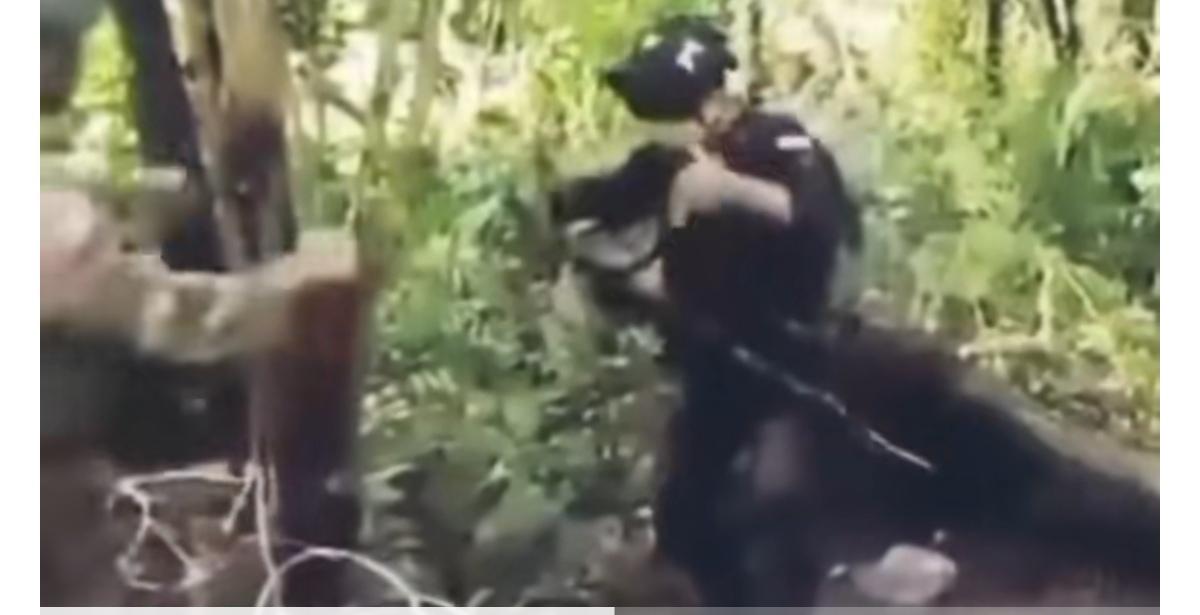 柬埔寨和泰国士兵在边境的铁丝网两侧跳舞，不太懂这是什么意思。