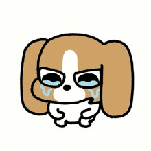 哈哈哈哈我以为要重拍云顶天空了