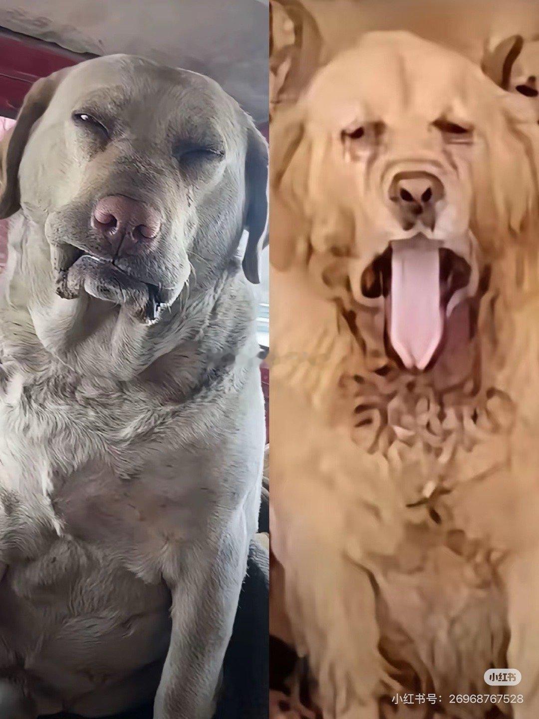 昨天吃新疆菜， 旁边做的都是学生. 真的从对话 到眼神都太清澈了. 而follo