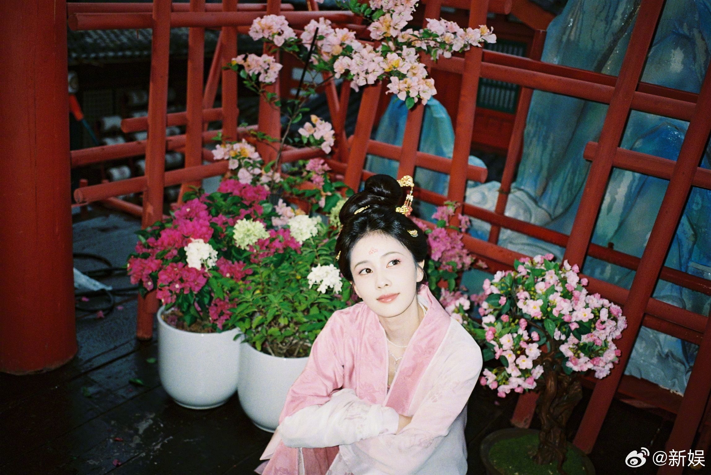 白鹿莫离云合登顶莫离云合第一白鹿、丞磊的《莫离》今日云合登顶了！~17.5%的占