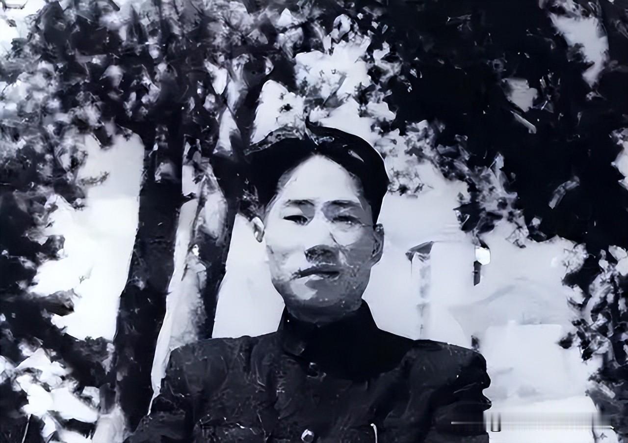 董秋农
董秋农，原名董万丰，1910年生于辽宁省金县二十里堡韩家村（今大连市金州