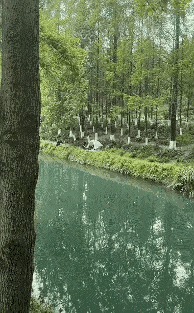 露营就是要好好放松一下