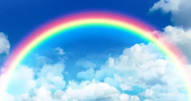 彩虹屁，职场路上的一盏“明灯”