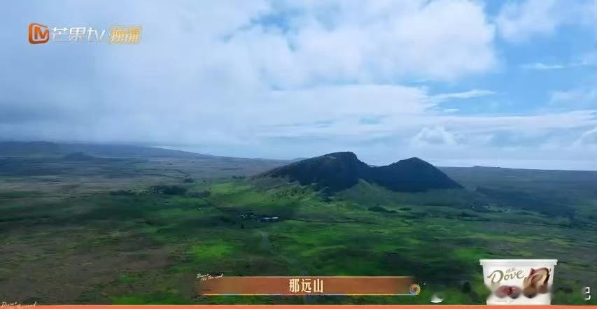 #金晨花少野生韵脚诗人#金晨这韵脚还真不错！花少野生韵脚诗人没错了👍。#花儿与