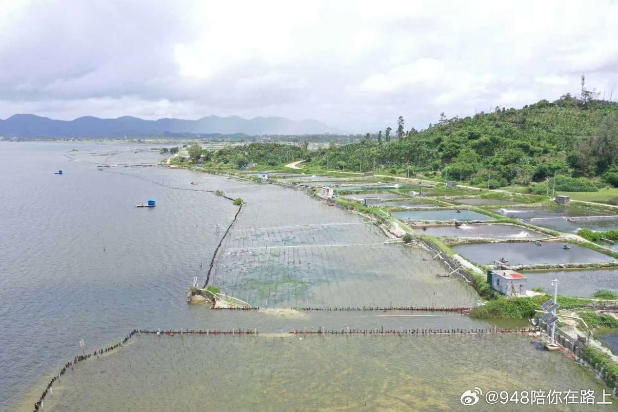 948快讯 【海南万宁6公里海岸线焕新：35.87万株红树筑起“蓝碳屏障”】日前