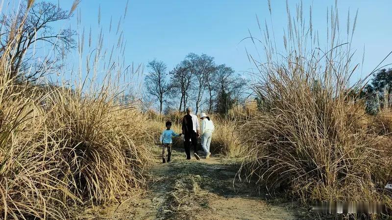 “穷不走亲”这说法，不能一概而论。有人觉得穷时走亲，会遭亲戚冷眼，像有人家里落魄