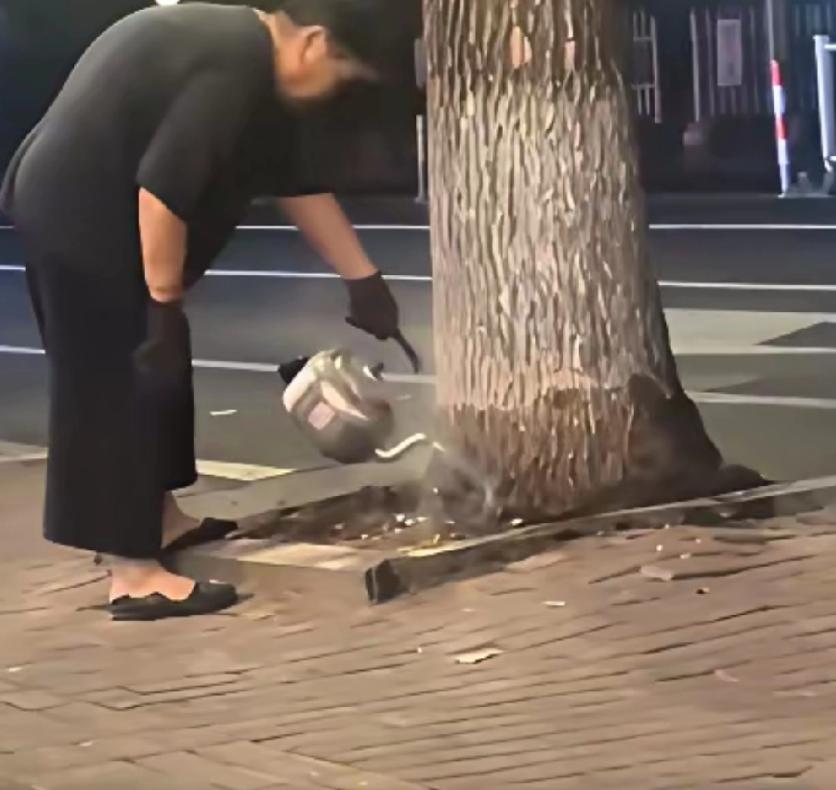 刷到一个视频，一个老太连续十四天用开水浇一棵银杏树

视频里老太穿洗得发白的蓝布