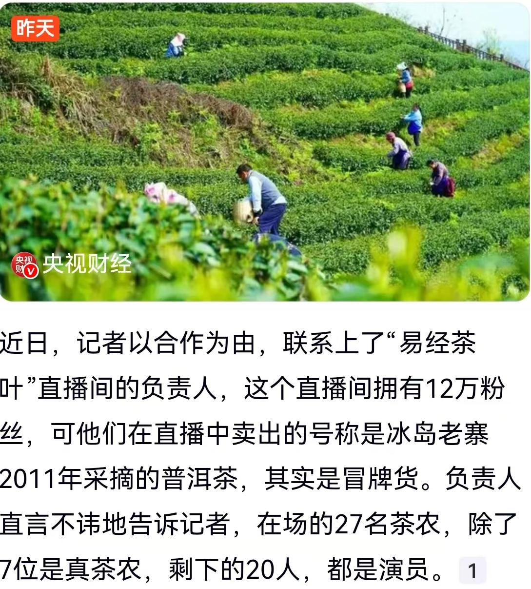 直播间里灯火通明，镜头前是一张张饱经风霜、淳朴憨厚的脸庞，他们自称是云南冰岛老寨