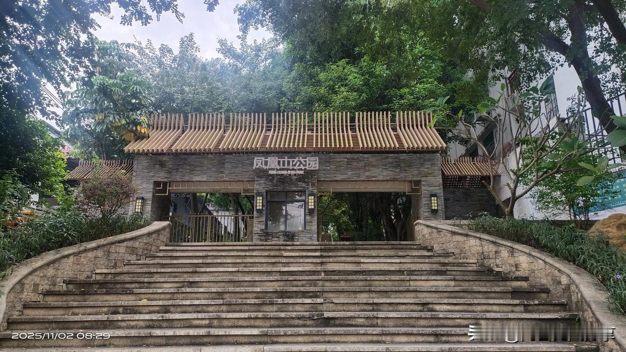 广州知识城有个公园—凤凰山公园
知识城附近最近的森林公园，山不高，年轻人估计十分