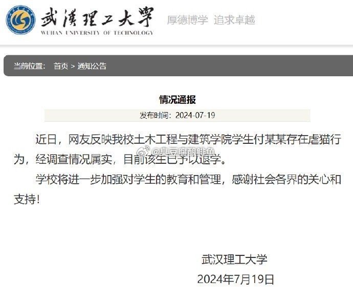 华中农大通报学生伤害流浪猫事件 武汉理工男生虐猫，开除（图一）江西师大男生虐猫，