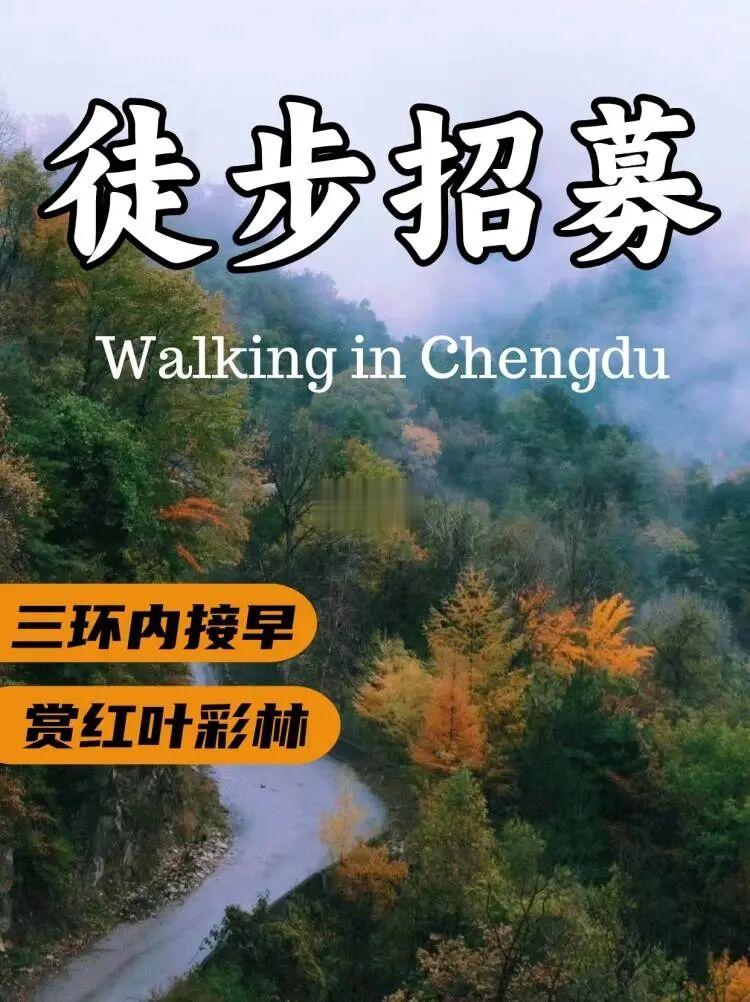 成都周边的绝美秋景💯户外活动路线开始招