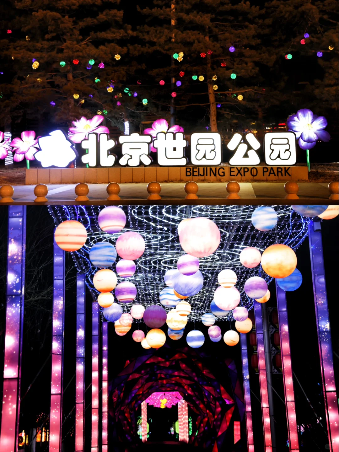 不出京，赏花灯~
