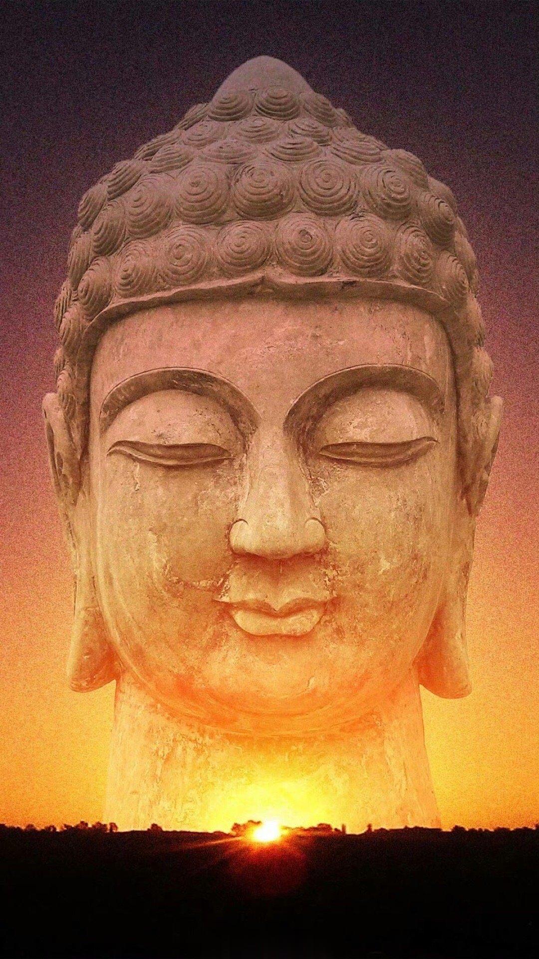 2023年9月22日   今日运势肖鼠：今日运势吉，会有理解，更懂得包容，想要自