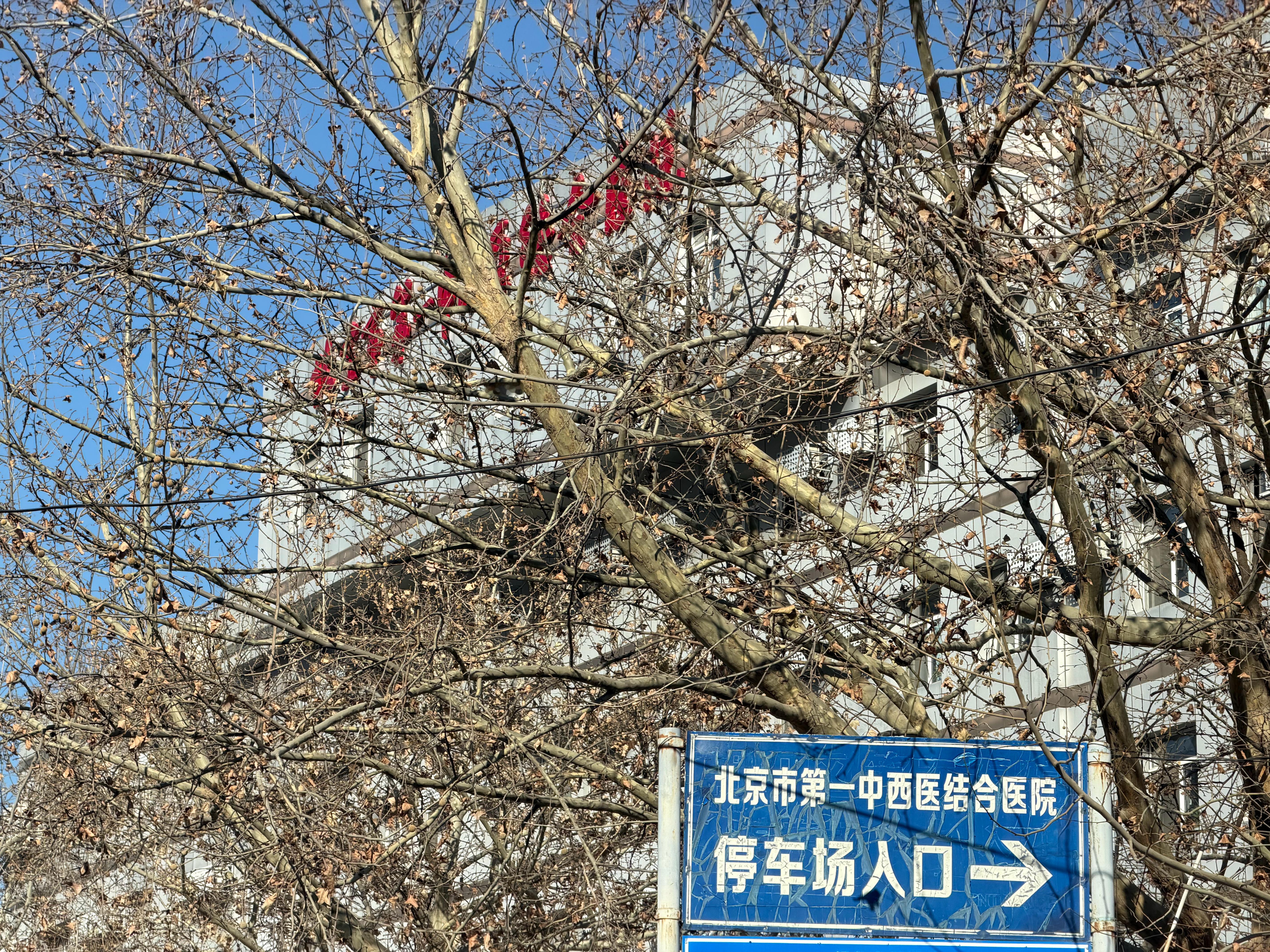 帮朋友搬家被猫挠了，人生第一次打狂犬疫苗…各位大佬有什么要注意的吗？求指教