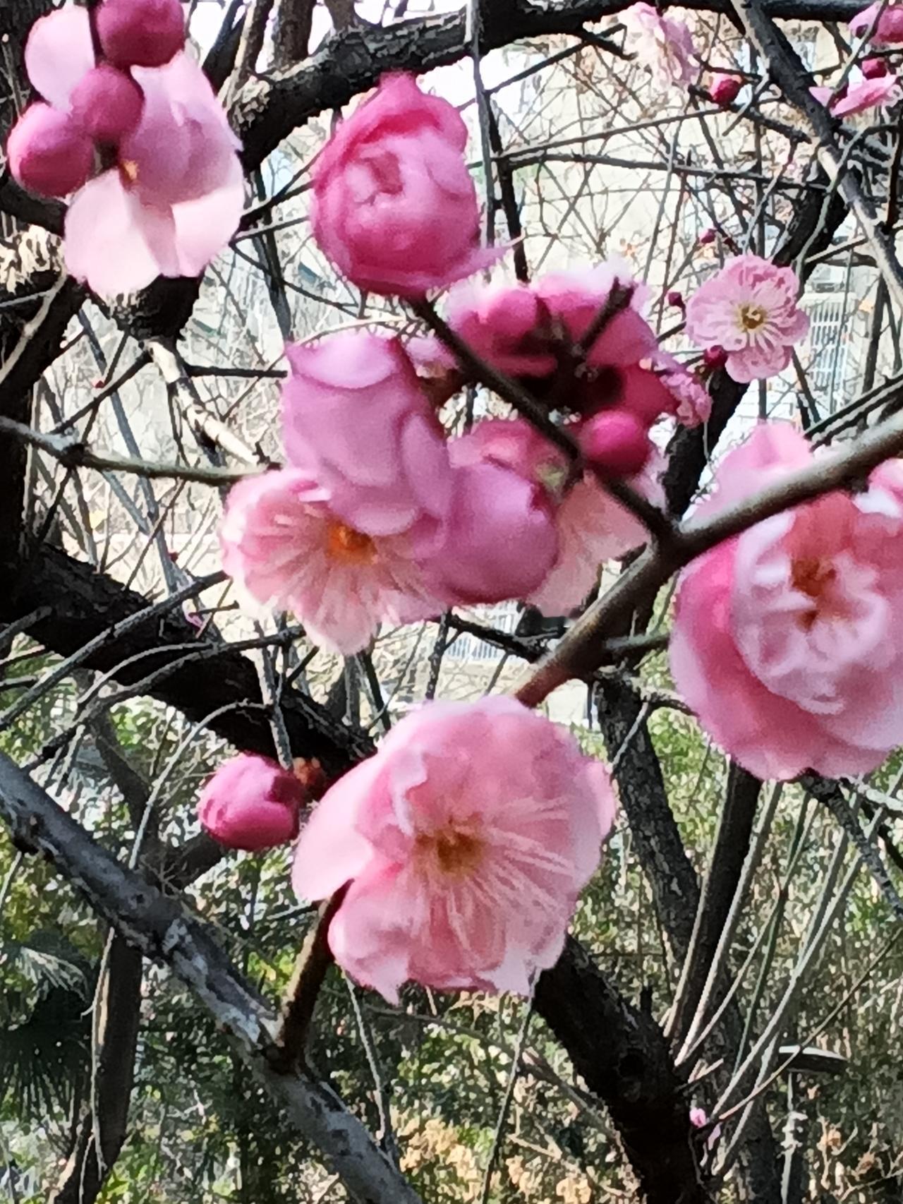 分享一下你随手拍下的照片