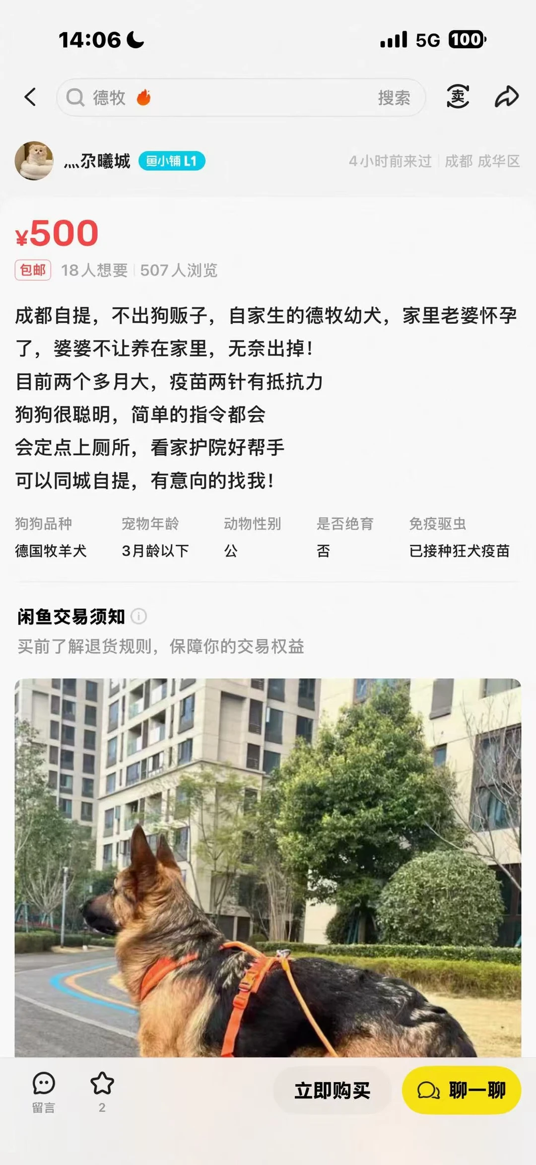 德牧|怎么我的狗就被卖了？