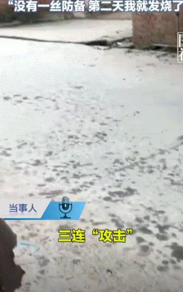 云南楚雄，一女子出家门口时，竟遭遇猫、松鼠、以及一条蛇的连环“三连吓”，因受到强