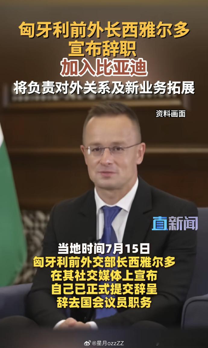 所以说，在外面做生意，一定得有人。你看看，比亚迪这关系硬不硬，请了一个欧洲国家的