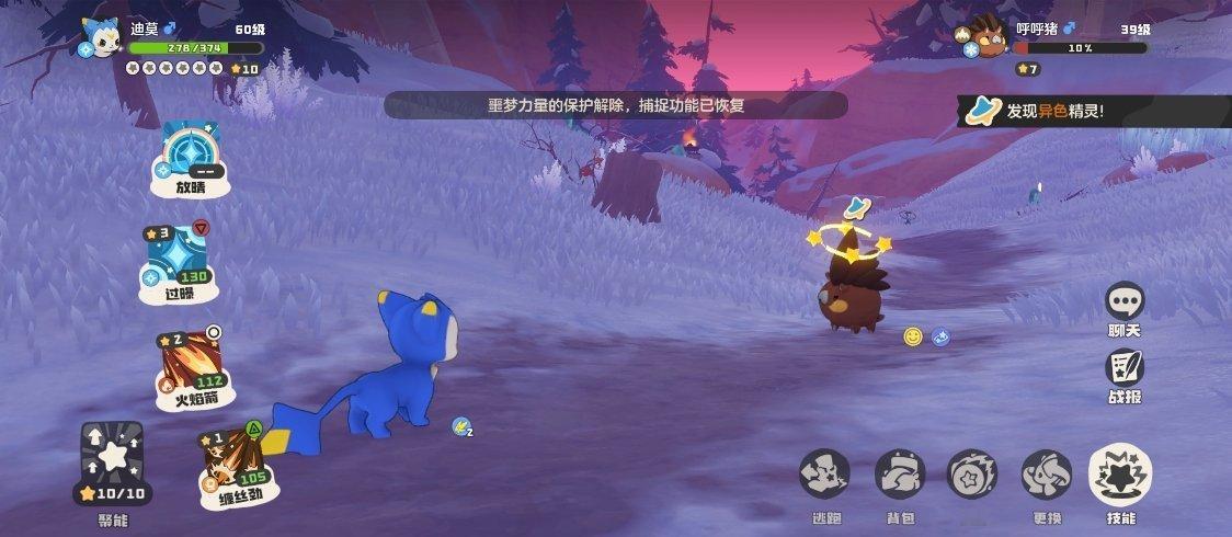 第三只猪宝贝 