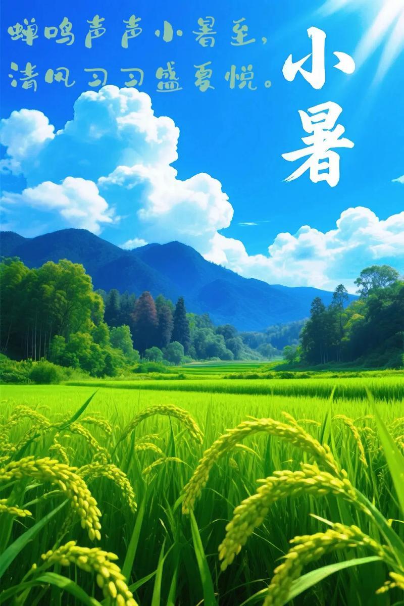 夏至三庚数头伏
6/28/五/十四/晴转阴/早安
仲夏将尽小暑到，
二暑季节梅雨