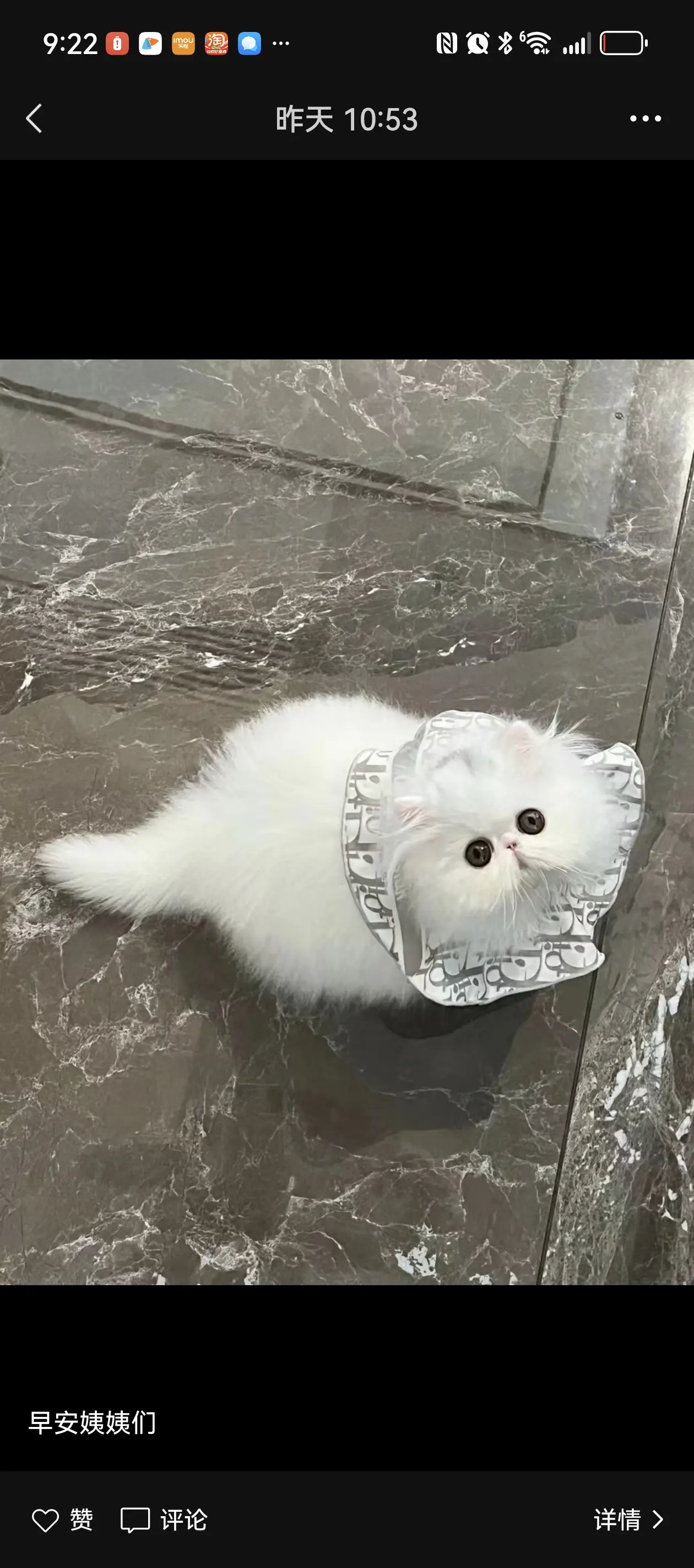 是小仙女呀
